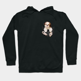 Shih tzu with love Hoodie